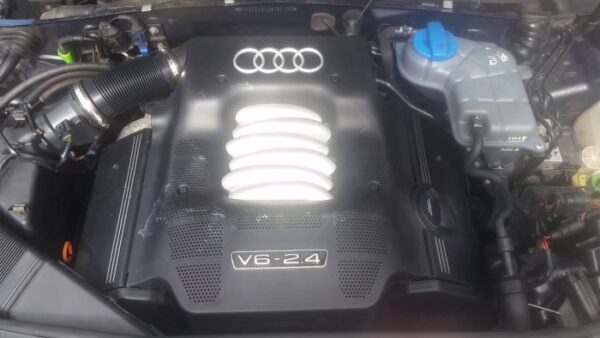 BDV V6